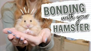 How to Bond with your Hamster