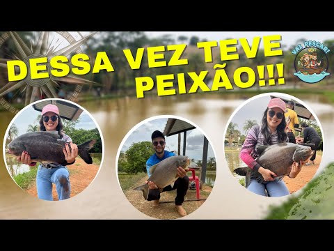 PEGAMOS PEIXES GIGANTES no Pesque e Pague São Gabriel! 😱🎣| Pescaria em Patos de Minas
