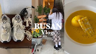 ［韓国vlog］SNSで話題の今1番アツイ田浦カフェ通りにある人気カフェ/暑い夏を乗り切る為に西面にある老舗・参鶏湯を食す/カボチャとトウモロコシのポタージュレシピ/グリークヨーグルトクロッフル