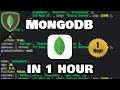 Learn MongoDB In 1 Hour