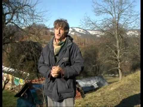 SIHASTRUL DIN PETRIS- INFOTV ARAD 2008