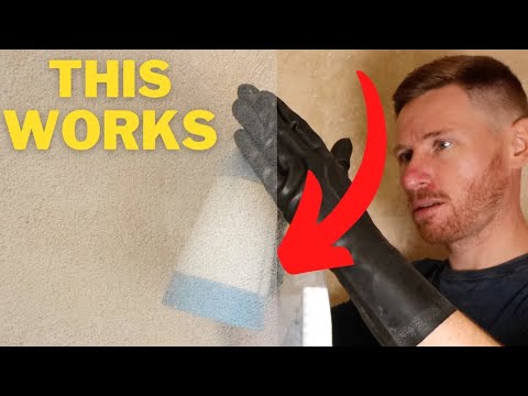 How to Clean Glass Shower Doors Like a Pro (in 5 Minutes)