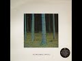 claire hamill - voices (1986)