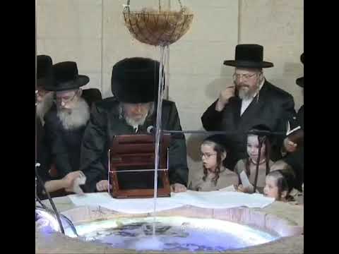 Fish Jumps Out Of The Water During Belzer Rebbe's Tashlich - 5784