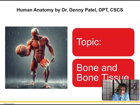 Bone Tissue and Formation