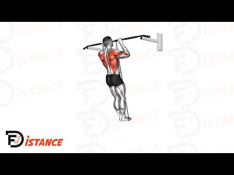 Traction assistée avec bande élastique - Exercice Traction assistée avec bande élastique en vidéo Traction assistée avec bande élastique - Exercice Traction assistée avec bande élastique en vidéo