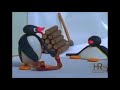 Hyderabadi Pingu 23 Zubair Mukheem