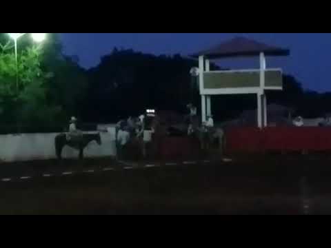 Jineteo de yegua a pretal de gasa x chiliwhisjy García García