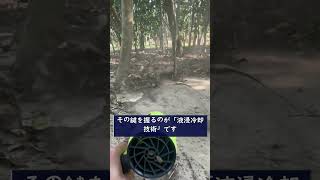 #株式 #投資# 日本株 #資産運用 #投資初心者 #株式投資 #お金の勉強 #長期投資 #配当金 #老後資金