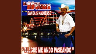 El Toro Viejo Lyrics English Translation