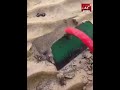 Asubi Rabi