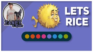 Ricing OpenBSD Setup & Scripting Bar Functionality!