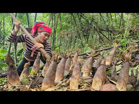 Village Life: Harvesting Bamboo Shoots take Them to Sell at the Market - Cleaning the Farm.