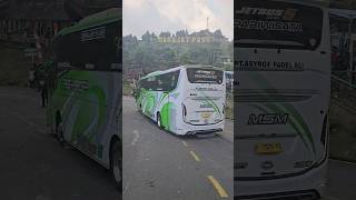 Download lagu Gaya mundur Bus MSM Asyrof 'TUAN MUDA' Bukan ga kuat nanjak, Tapi didepan penuh ga bisa putar balik mp3 Download lagu Gaya mundur Bus MSM Asyrof 'TUAN MUDA' Bukan ga kuat nanjak, Tapi didepan penuh ga bisa putar balik mp3