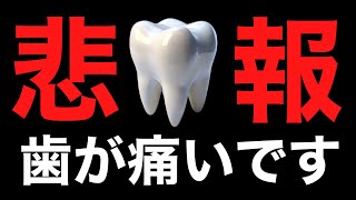 【フォートナイト/Fortnite】歯が痛いのにフォートナイト楽しくてゲームやめれない！！！！