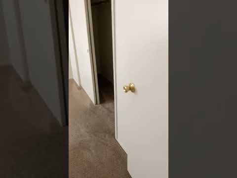 Adeline 615-617 - Video 2 of 2