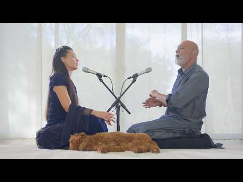 Within The Void | A Sound Journey into Stillness, Surrender & Rebirth