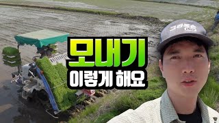 모내기 시작 - 이앙기로 모심기 (벼 농사)
