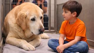 A Boy Who Couldn't Speak Looked at This Adopted Dog...What Happened Next Left Everyone Speechless 💔