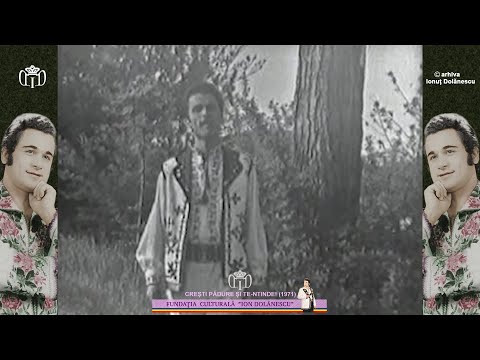 Ion Dolănescu I Crești pădure și te-ntinde!