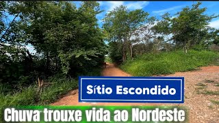 Sítio Escondido- Missão Velha Ceará - Chuva muda a paisagem do Nordeste Brasileiro 