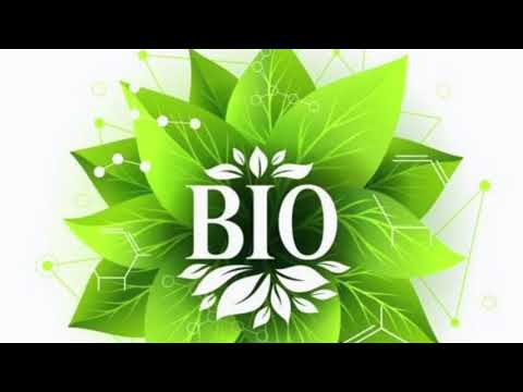 Plantație cătină bio in sat Arțari, Călărași