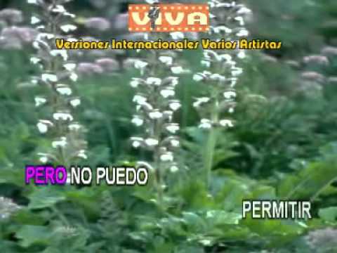 Si piensas ,si quieres  Karaoke Rocio Durcal y Roberto Carlos