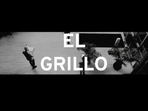 El Grillo - Camerata Nova