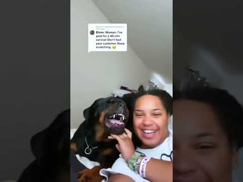 Funny and cute dogs compilation#funnydogs#cute#doglover#doglife#cure#dogshorts#pet#doglife