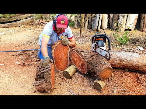 Grande Transformação Toco Velho Vira Peça de Luxo#Transforming old wood into luxury