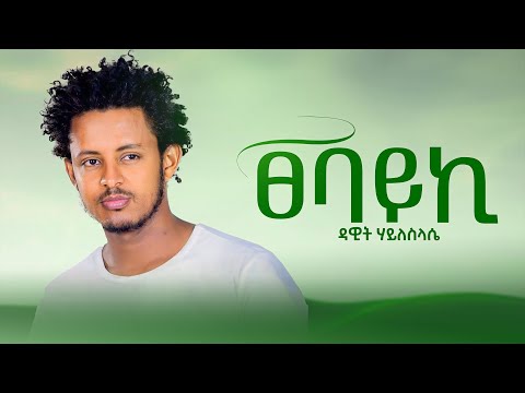 Dawit Hailesilassie - Tsebayki - ዳዊት ሃይለስላሴ - ፀባይኪ - New Ethiopian music 2024 (Official Music) 4K