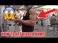 Arm Workout I Used To Get Bigger Arms | Bicep and Tricep Workout