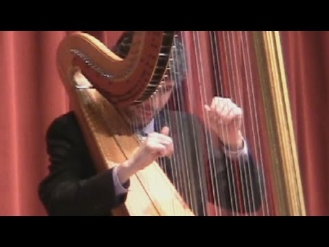 Baroque Flamenco - live! Josh Layne performs Deborah Henson-Conant's "Baroque Flamenco"