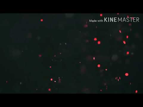 Bandida - Elchiky X El Talibvn | Video Lyrics