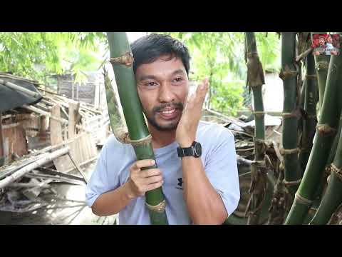 Harana Part 28 - Baak Andres