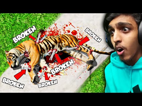 GTA 5 : Breaking EVERY BONE As a TIGER 😹...!!