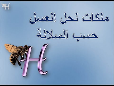 , title : 'تعرف على شكل ملكات نحل العسل حسب السلالة - د. حسام أبوشعرة'