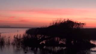 How To Destroy Angels - On The Wing (Español Subs HD)