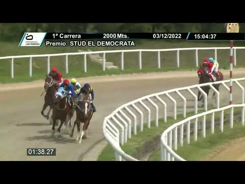 221203 c01 - YAYO - HIPODROMO LAS PIEDRAS