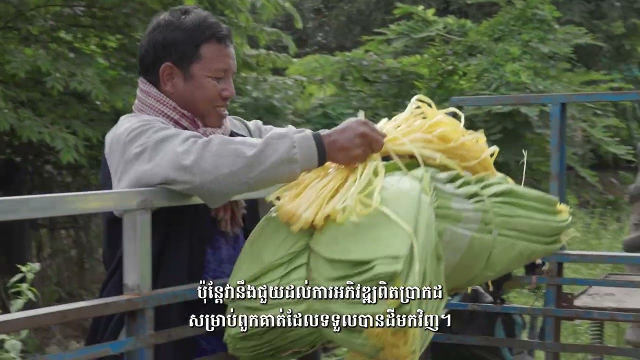 គម្រោងបោសសម្អាតមីនដើម្បីលទ្ធផល ដំណាក់កាលទី៤ | ភាពជាដៃគូរវាង UNDP និងនូវែលសេឡង់