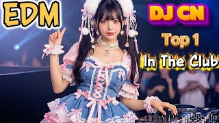 Download lagu DJ CN vs Fan – Ultimate Club Battle Mix 🔥 mp3