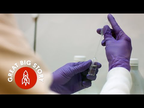 がん治療向上への前進 (Making Strides in the Race to Better Treat Cancer)