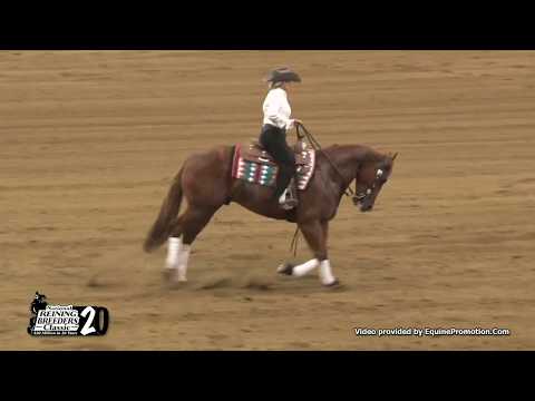 Shiners Voodoo Juice ridden by Tamara Schiltz  - 2017 NRBC (NP Prelims)