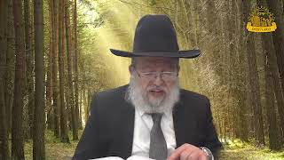 דף היומי בחצי שעה – סנהדרין דף ק’