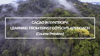 F4F Academy - O CACAU NA SINTROPIA: aprendendo com a abordagem de Ernst Götsch