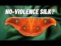 Tussar Silk The Story Of No Violence Silk From India