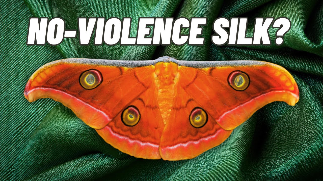 Tussar Silk, The Story Of No-Violence Silk From India