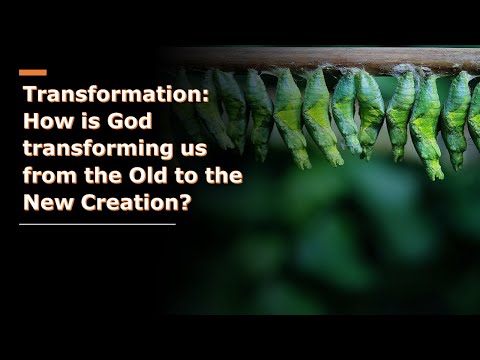 Transformation: From the Old to the New Creation