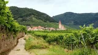 der Welterbesteig in der Wachau von Krems - Spitz- Krems und Melk