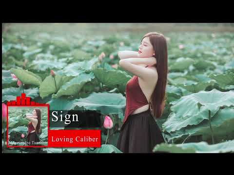 Sign - Loving Caliber - Best Royalty Free Music
